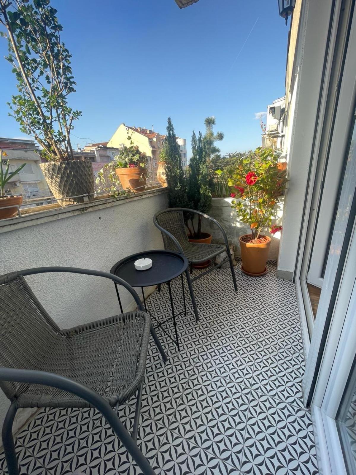 Apartman Avenia Novi Sad Exterior foto